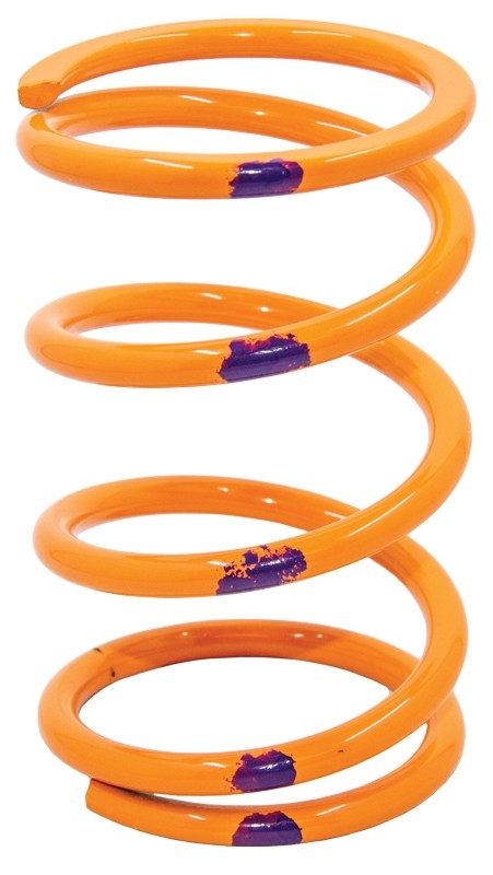 Driven Springs for Polaris RZR Pro-R