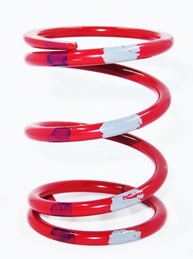 RZR Drive Clutch Springs (Red)