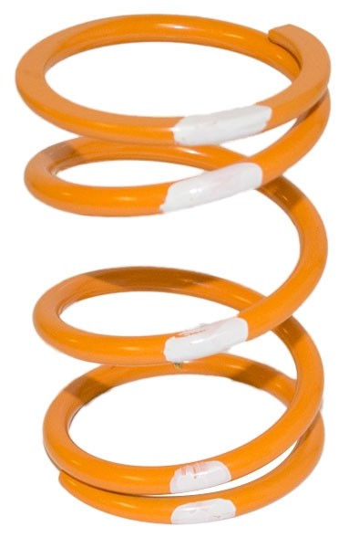 Driven Springs for Polaris Pro-R UTV Clutches (New/Used)