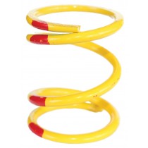 RZR Drive Clutch Springs (New and Used) 