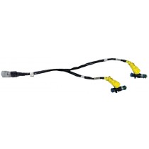 Injector Cleaning for Polaris 650/850/9R