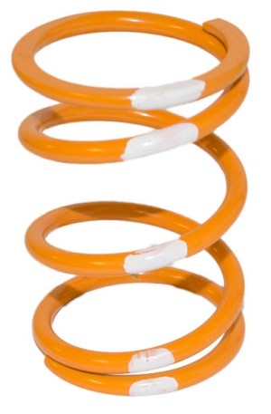 Driven Springs for Polaris Pro-R UTV Clutches (New/Used)