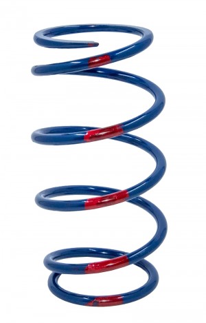 Driven Spring for 2016-20 RZR Turbo and RS1 (take-off)