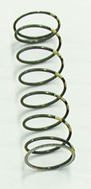 Exhaust Valve Spings