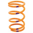 Driven Springs for Polaris RZR Pro-R