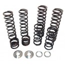 Dual Rate Suspension Spring Kits by ZBroz Racing